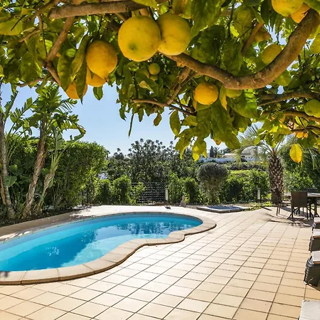 Casa Palm House By Boaz Tatil Evi