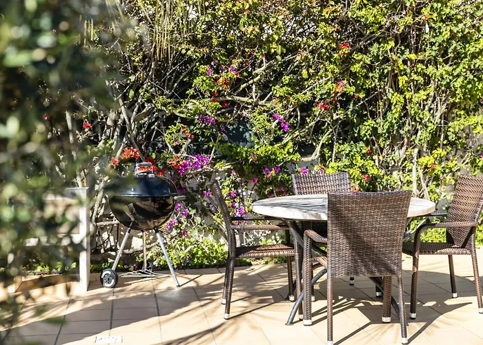 Vakantiehuis Casa Palm House By Boaz *